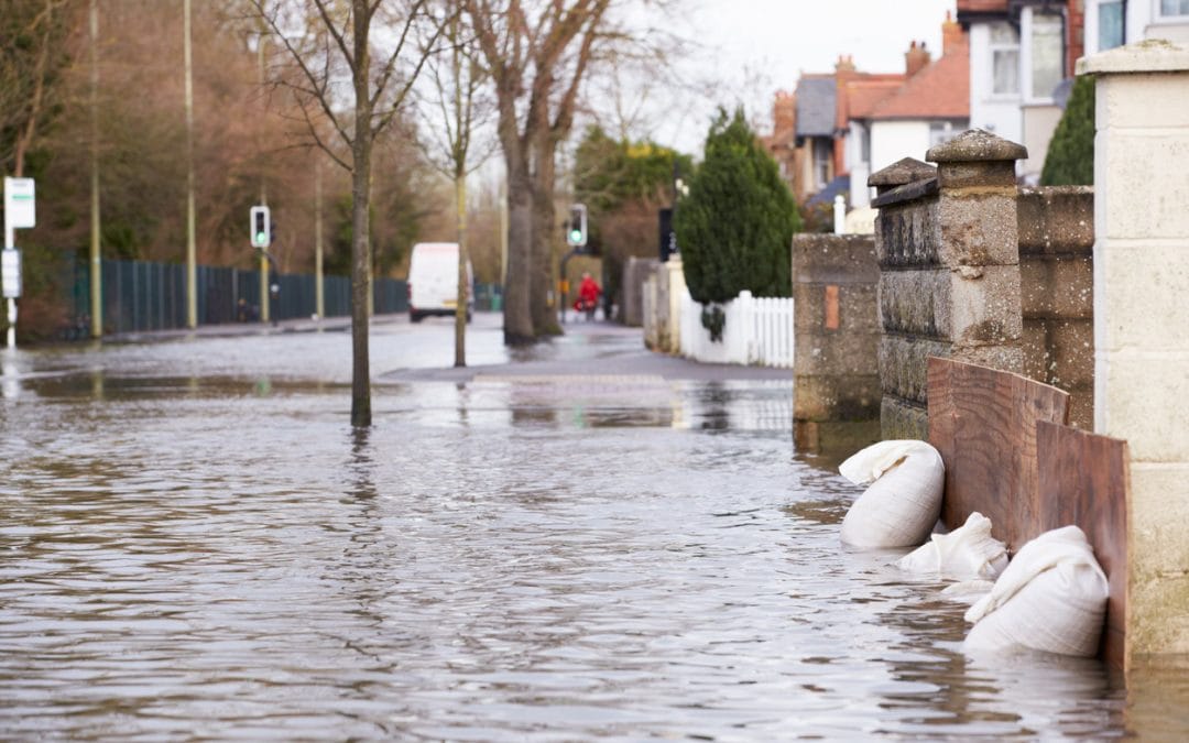 Flooded Houses