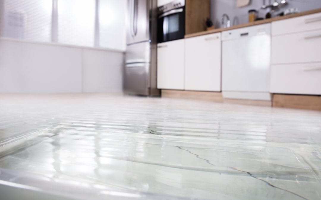 A Guide To Cleaning Up After A Flood