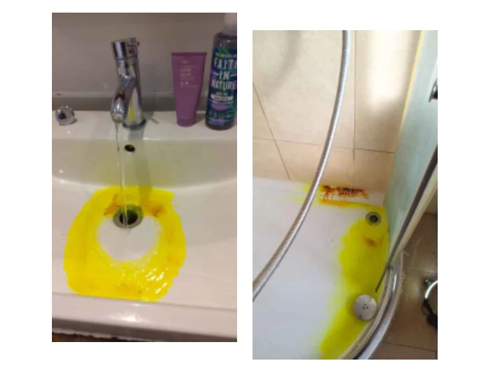 New-Project water damage insurance claim support