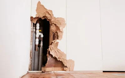 Understanding Water Damage in Different Property Types