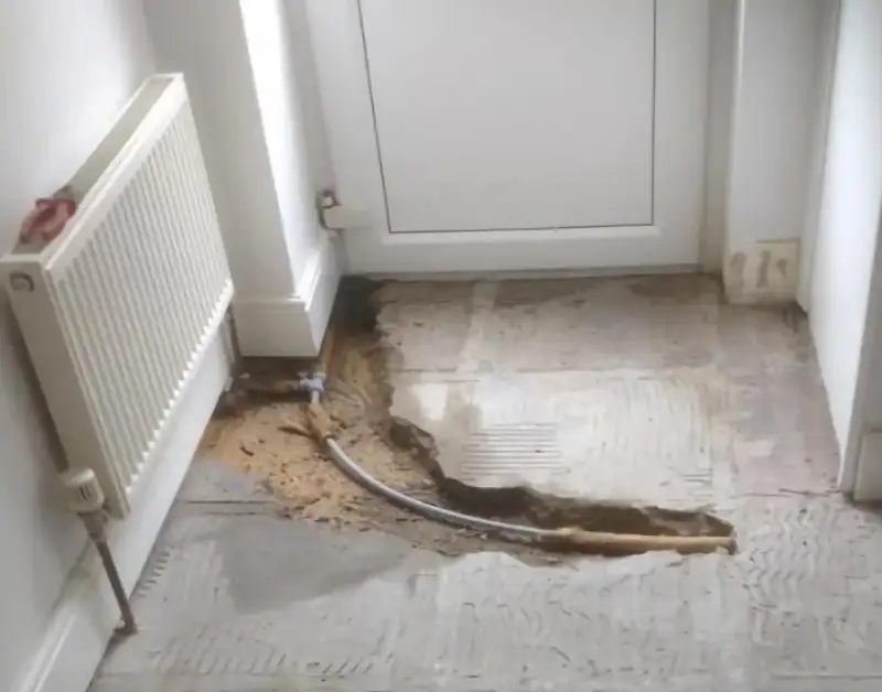 water damage insurance claim support
