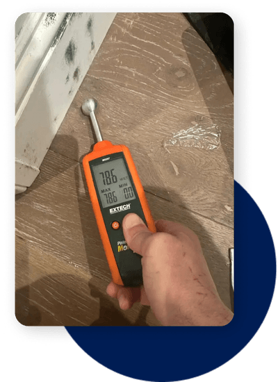 mould in property mould in property