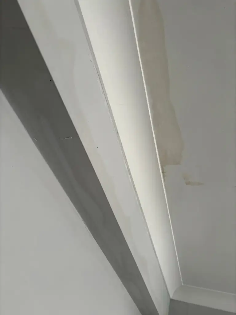 Water damage on ceiling and wall