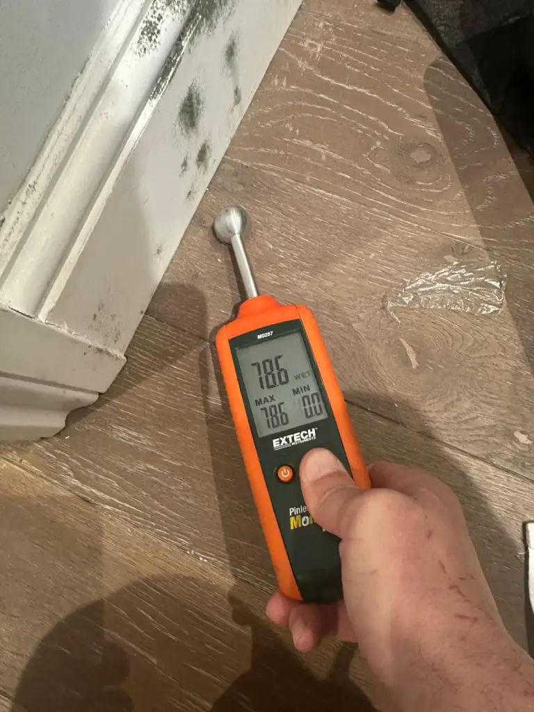 Mould growth